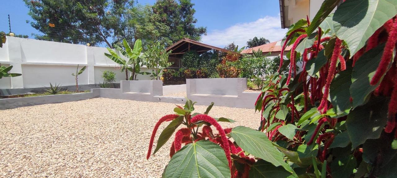 Garden Pearls Hotel Nungwi Exterior photo