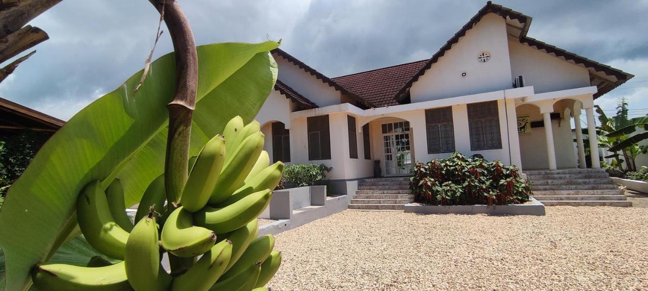 Garden Pearls Hotel Nungwi Exterior photo